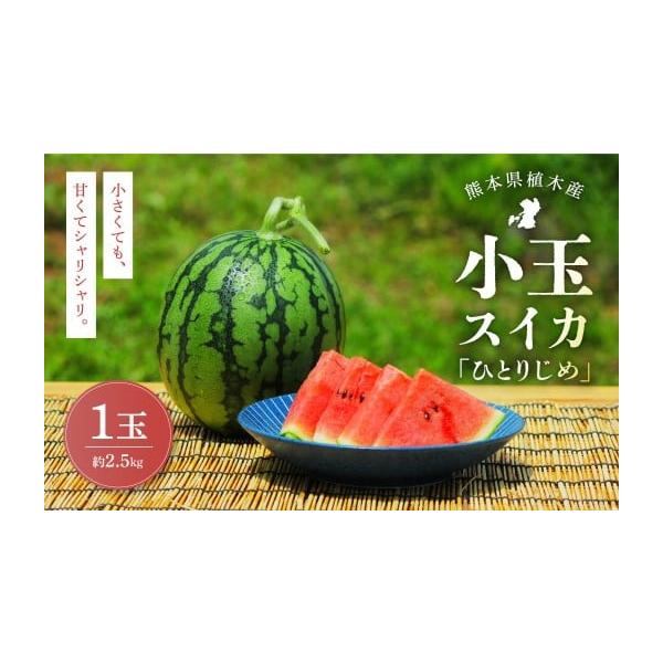 容量約2.5kg×1玉消費期限賞味期限：到着から6日以内発送期日寄附確認後、2026年4月上旬〜4月下旬迄順次発送予定※天候や発送状況により多少前後する場合がございますので、予めご了承ください。配送常温 時間指定 別送申込期日〜2026年0...