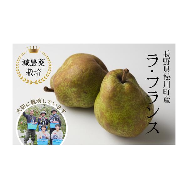 容量 約3kg（秀品）（7〜11玉）消費期限涼しい場所に保管し、お早めにお召し上がりください。発送期日2025年10月中旬〜11月上旬ごろ配送予定※旬の時期にお届けいたします。その年の気候により配送時期が変動することがありますのでご了承くだ...