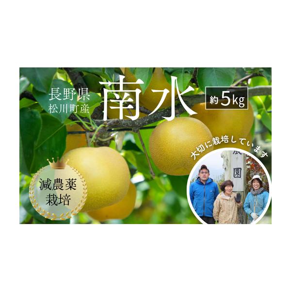 容量南水 約5kg（秀品）（9〜20玉）消費期限涼しい場所に保管し、お早めにお召し上がりください発送期日2026年9月中旬〜10月上旬頃 配送予定※大変恐れ入りますが、農園では出荷時期に作業が大変立て込むため、不在日や到着曜日等のご希望をい...