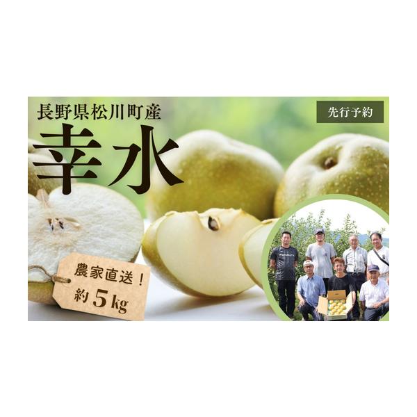 容量約5kg（9〜14玉）※大きさで玉数は異なります。玉数の指定はお受けできません。消費期限 お早めにお召し上がりください。発送期日2026年8月下旬頃〜配送（予定）※気候により配送時期に変動がある可能性がございます。なお、農家直送のため出...