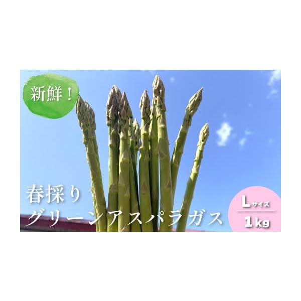 容量グリーンアスパラガスL　1kg相当※参考：28〜50本程度消費期限冷蔵庫で１週間以内※到着後すぐに開封し、中の状態を確認ください。発送期日【先行予約品です】2026年4月〜5月中旬※生育状況等により発送時期が前後することがありますので予...