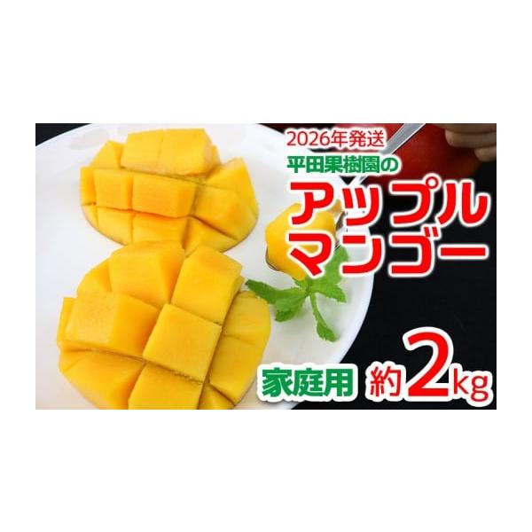沖縄県産 ミニマンゴーＢ品 約６kg【常温便】② 楽天市場】沖縄県より産地直送 JAおきなわ 完熟沖縄マンゴー 約2キロ