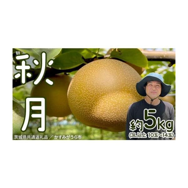 容量5kg箱　3L以上10玉〜14玉入り消費期限到着日より1か月発送期日2026年9月中旬よりお申込み順に発送発送開始後は、入金確認より2週間前後で発送配送常温 別送申込期日2026年9月上旬事業者鈴木農園申込条件何度も申し込み可