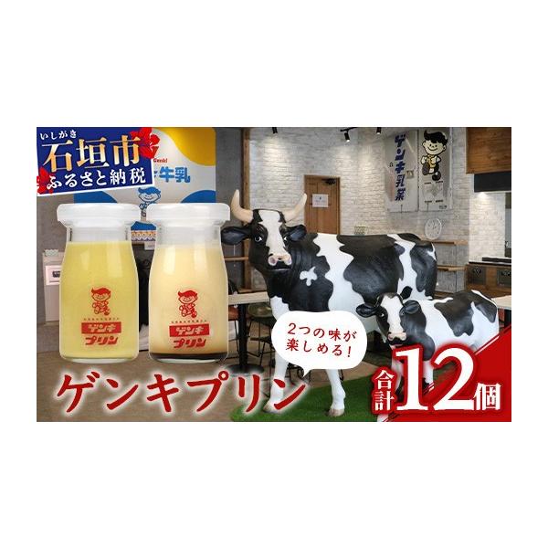 ふるさと納税 菓子 プリン 沖縄県 石垣市 ゲンキプリン 12個