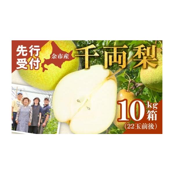 容量10kg箱(バラ詰22玉前後)M・Lサイズ（370ｇ〜580ｇ）消費期限冷蔵にて保存し,お早めにお召し上がりください。発送期日収穫時期の都合により、発送は2026年9月下旬を予定しています。配送冷蔵 時間指定 別送申込期日〜2026／9...