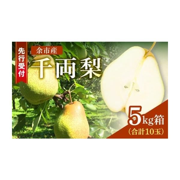 容量5kg箱(モールドトレイ10玉)Lサイズ（450ｇ〜580ｇ）消費期限冷蔵にて保存し、お早めにお召し上がり下さい。発送期日収穫時期の都合により、発送は2026年9月下旬を予定しています。配送冷蔵 別送申込期日〜2026／9／20事業者株...