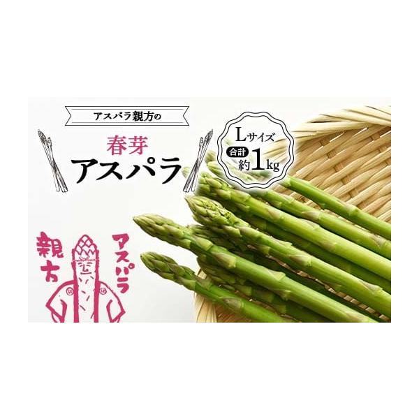容量春芽アスパラ　約1kg（約500g×2）−サイズL−本数　30本〜40本消費期限発送後7日前後発送期日2026年4月上旬〜2026年4月下旬配送冷蔵 時間指定 別送申込期日2026年3月15日まで事業者ガンバ農園申込条件何度も申し込み可