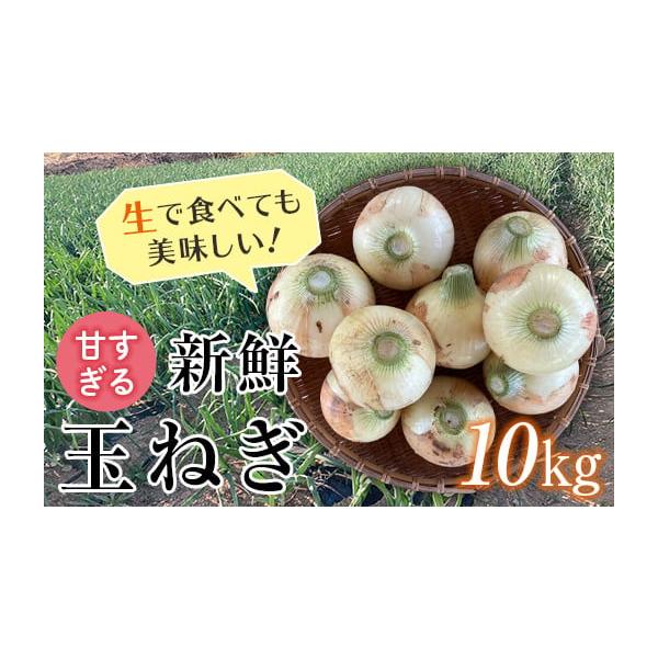 容量玉ねぎ「早生」「甘七宝」のどちらか 10kg消費期限出荷日より常温風通しのよい場所で2週間発送期日2026年6月1日〜6月25日頃出荷配送常温 時間指定 別送申込期日2026年4月30日まで※在庫無くなり次第終了となります。予めご了承下...