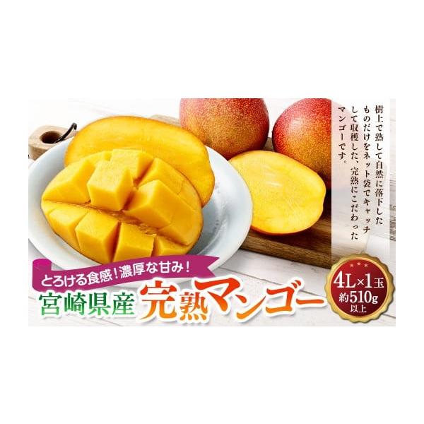 容量4L×1玉（510g以上）消費期限【賞味期限】お早めにお召あがりください。発送期日寄附確認後、2026年4月中旬〜7月下旬までに順次出荷※天候や発送状況により多少前後する場合がございますので、予めご了承ください。配送冷蔵 時間指定 別送...