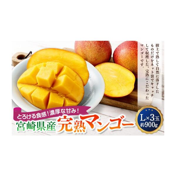 容量L×3玉（約900g）消費期限【賞味期限】お早めにお召あがりください。発送期日寄附確認後、2026年4月中旬〜7月下旬までに順次出荷※天候や発送状況により多少前後する場合がございますので、予めご了承ください。配送冷蔵 時間指定 別送申込...