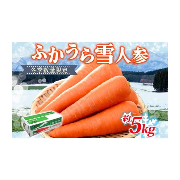 容量ふかうら雪人参　約5kg消費期限冷蔵14日発送期日2026年1月中旬〜2026年3月下旬配送常温 別送申込期日2026年3月10日まで事業者一般財団法人 深浦町食産業振興公社申込条件何度も申し込み可