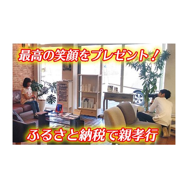 ふるさと納税 パッケージ旅行 滋賀県 近江八幡市 ふるさと納税で親孝行 近江八幡で暮らす母に最高の笑顔をプレゼント EJ004W