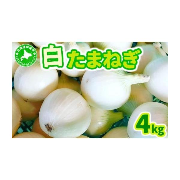 容量白玉ねぎ 4kgM〜Lサイズ　17〜28個消費期限発送から30日発送期日2026年6月中旬〜7月上旬配送常温 別送申込期日2026年7月4日まで事業者farm ユメソラ申込条件何度も申し込み可、オンライン決済限定