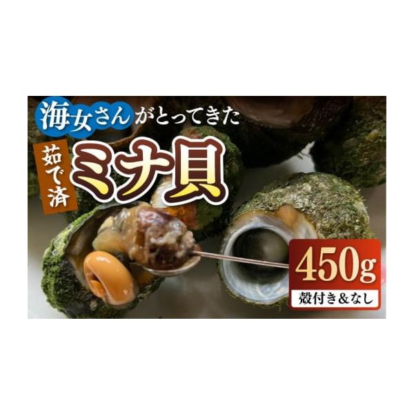 Narita様 リクエスト 4点 まとめ商品　貝殻 Narita様 リクエスト 4点 まとめ商品 貝殻 Narita様 リクエスト