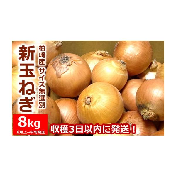 容量・新玉ねぎ サイズ無選別：8kg消費期限新玉ねぎは傷つきやすく、あまり日持ちしません。商品がお手元に届きましたら封を開け、冷蔵庫での保存をお勧めします。湿気に弱いため、新聞紙やキッチンペーパーなどで包んでいただくとなおよいかと思います。...