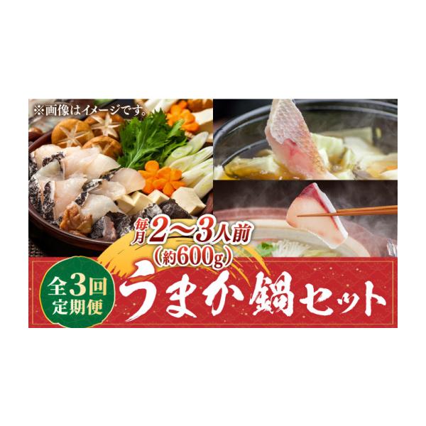 ふるさと納税 海鮮鍋 長崎県 壱岐市  全3回定期便 《1・2・3月お届け》 うまか鍋セット 2〜3人前（約600g）《壱岐市》 魚助 鍋 くえ クエ ブリ ぶり 鰤 鯛 た…