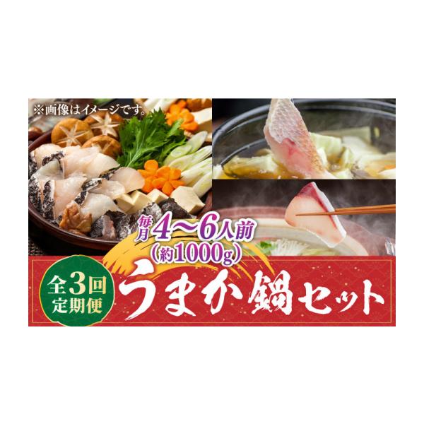 ふるさと納税 海鮮鍋 長崎県 壱岐市  全3回定期便 《1・2・3月お届け》 うまか鍋セット 4〜6人前（切身約1000g） 《壱岐市》 魚助 鍋 くえ クエ ブリ ぶり 鰤 …