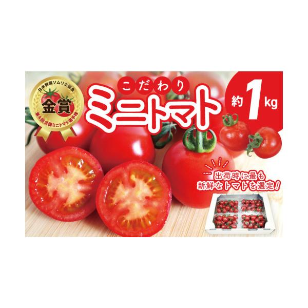 ふるさと納税 トマト ミニトマト 大阪府 泉佐野市 先行予約 こだわり ミニトマト 4パック 合計 約1kg 選手権 金賞受賞 日本野菜ソムリエ協会 新鮮 野菜 泉佐…
