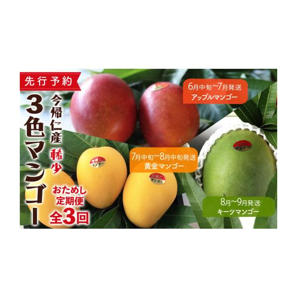 容量●１回目：6月中旬〜7月頃発送赤(今帰仁産アップルマンゴーA級品1kg（2〜3玉）※A級（果皮の赤み5〜6割）●2回目：7月中旬〜8月中旬頃発送黄(今帰仁産金蜜マンゴー１kg （2〜3玉)●3回目：8月〜9月頃発送緑(今帰仁産キーツマン...