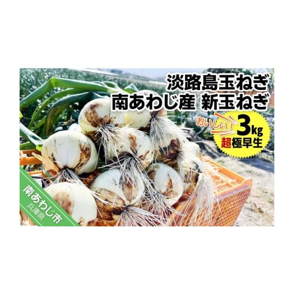 容量新玉ねぎ（超極早生）３kg消費期限冷蔵庫で10日程度※冷蔵庫または風通しの良い涼しい所で保存してください。※生鮮品のため、到着後は箱から出して保存し、お早めにお召し上がりください。※消費期限経過後に傷み等のご連絡をいただいた場合、返品・...