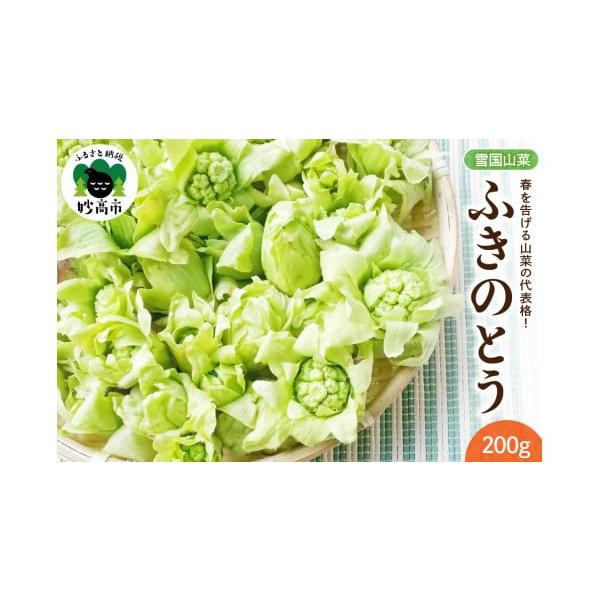 容量200g×1パック消費期限発送日より3日発送期日入金確認後、2026年3月中旬より順次発送予定配送冷蔵 別送申込期日〜2026年4月中旬まで事業者越後妙高 雪国山菜申込条件何度も申し込み可