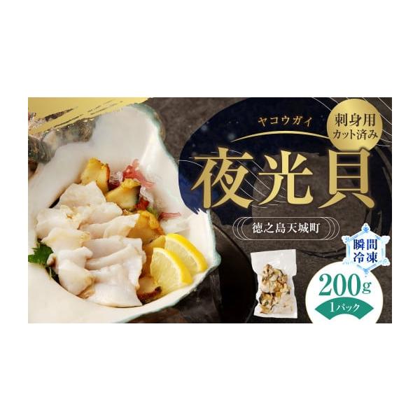 エビshop〜』【訳アリ夜光貝大中セット】沖縄県産夜光貝 楽天
