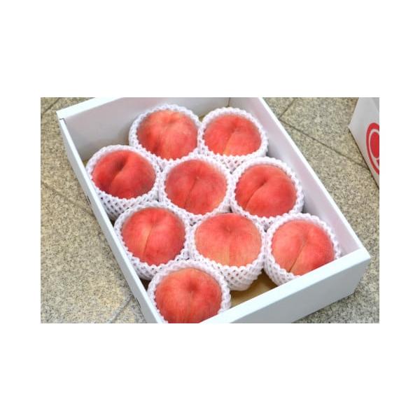 容量秀：3kg(大玉・糖度13度以上)8〜12玉前後　消費期限1週間程度発送期日2026年8月中旬〜9月中旬頃まで配送冷蔵 のし 時間指定 別送申込期日2026年8月30日まで事業者山形eLab申込条件何度も申し込み可