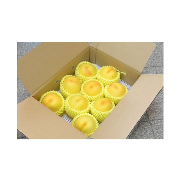 容量秀：3kg(大玉・糖度13度以上)8〜12玉前後　消費期限1週間程度発送期日2026年8月中旬〜8月下旬頃まで配送冷蔵 のし 時間指定 別送申込期日2026年8月10日まで事業者山形eLab申込条件何度も申し込み可