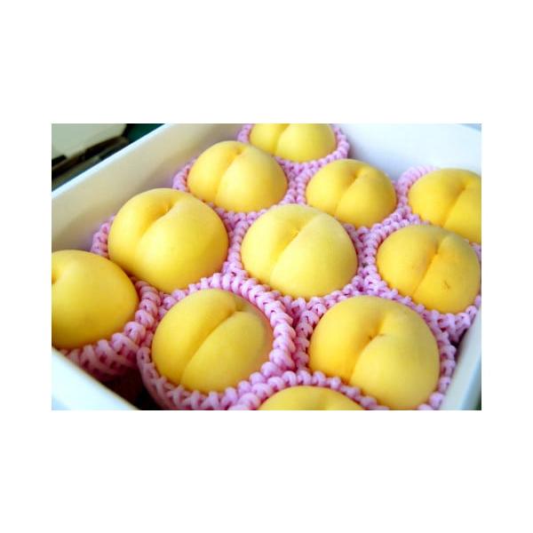 容量秀：3kg(大玉・糖度13度以上)8〜12玉前後消費期限1週間程度発送期日2026年9月中旬〜9月下旬頃まで配送冷蔵 のし 時間指定 別送申込期日2026年9月10日まで事業者山形eLab申込条件何度も申し込み可