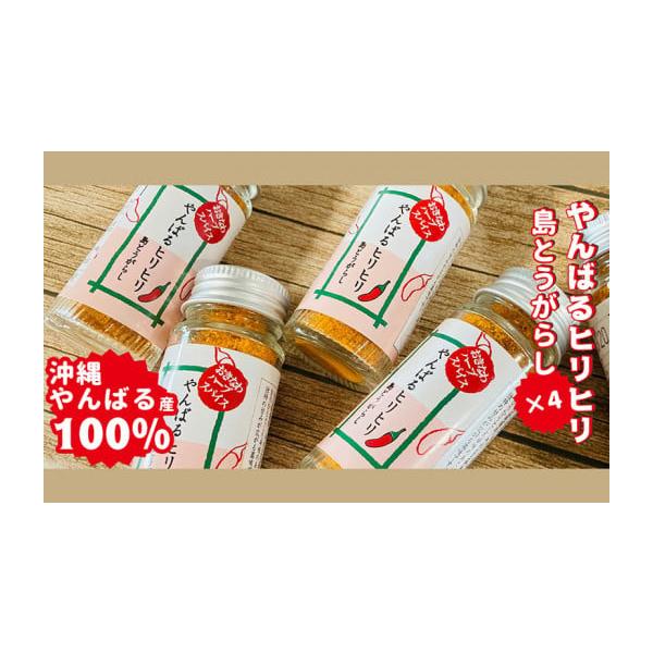 容量やんばるヒリヒリ島とうがらし（10g）× 4本消費期限製造より6ヶ月発送期日寄附受付から1ヶ月〜2ヶ月配送常温 別送申込期日通年事業者ネクストステージ沖縄合同会社申込条件何度も申し込み可