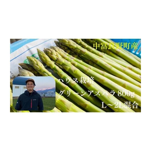 容量グリーンアスパラ　800g（L〜2Lサイズ混合）※商品の受け取り後は、すぐに商品の状態をご確認ください。発送期日2026年4月下旬〜5月下旬の発送になります。※天候により、多少前後する可能性がございます。 ※お申込み順に順次発送いたしま...