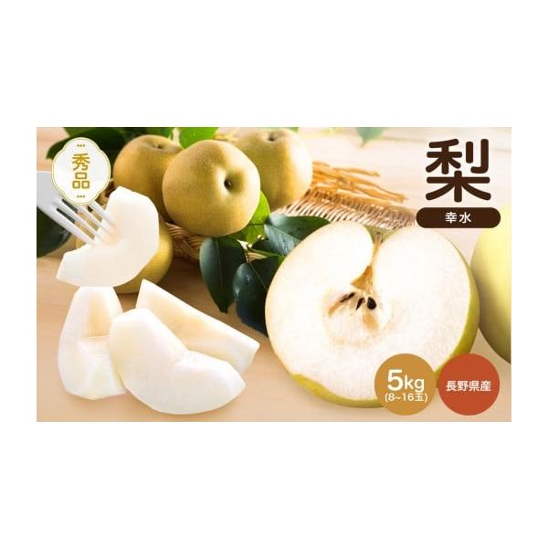 容量約5kg (8〜16玉)原産地:長野県消費期限発送日より5日(青果物のため冷暗所に保管しお早めにお召し上がりください)発送期日2026年8月下旬〜9月上旬の間で順次発送予定です。（発送日・到着予定日等のご案内はしておりません。）【発送に...