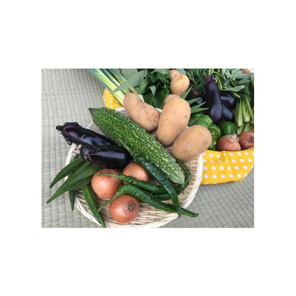 容量季節の野菜ハーフセット（おまかせ6〜7品）消費期限到着後、なるべく早くお召し上がりください。発送期日ご入金確認後、1ヶ月以内に発送いたします。配送冷蔵 時間指定 別送申込期日通年事業者はぐくみのもり申込条件何度も申し込み可