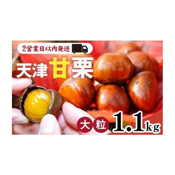 容量内容量：1.1kg原材料栗（中国河北省青龍）、水飴、植物性油脂製造／栗：有限会社　啓（兵庫県神戸市）消費期限発送日から1週間以内。※届いた当日中に食べきれない場合は、密封容器に入れて冷凍庫で保存してください発送期日【スピード発送】決済か...