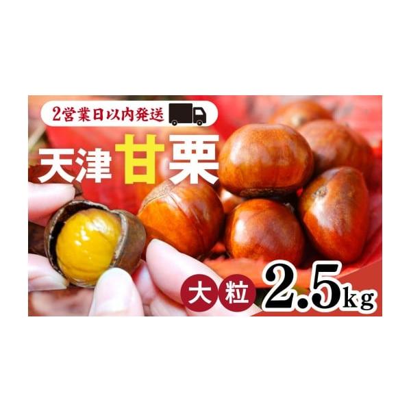 容量内容量：2.5kg原材料栗（中国河北省青龍）、水飴、植物性油脂製造／栗：有限会社　啓（兵庫県神戸市）消費期限発送日から1週間以内※届いた当日中に食べきれない場合は、密封容器に入れて冷凍庫で保存してください発送期日【スピード発送】決済から...