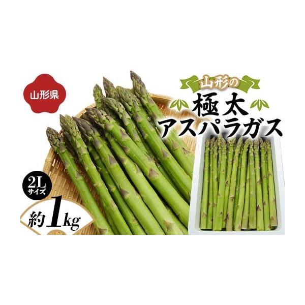 容量アスパラガス 約1kg（2Lサイズ）消費期限お届けより5日程度発送期日2026年5月中旬頃〜6月上旬頃配送冷蔵 時間指定 別送申込期日2026年5月5日まで事業者山形うまいずマーケット申込条件何度も申し込み可、オンライン決済限定