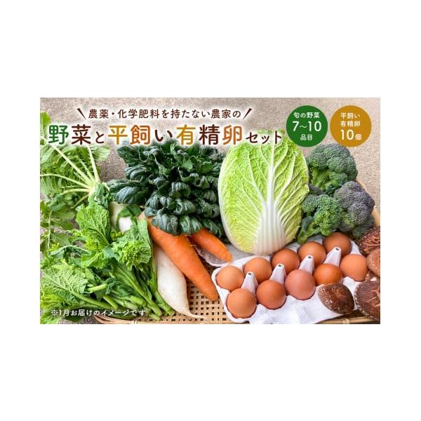 容量【関東地区限定配送】季節の野菜セットと平飼有精卵10個●季節の野菜　・旬の野菜 7〜10品目　・基本野菜 （政令で定められた指定野菜14品目：キャベツ、きゅうり、さといも、だいこん、たまねぎ、トマト、なす、にんじん、ねぎ、はくさい、ばれ...