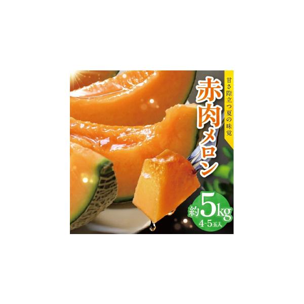 ふるさと納税 メロン メロン赤肉 山形県 遊佐町 赤肉メロン 約5kg 4〜5