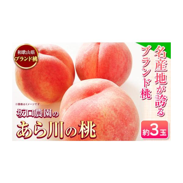 容量約3玉※白鳳、日川白鳳、紀の里白鳳、清水白桃、川中島白桃、なつっこの中から、発送時に旬の桃をお届けします。※品種はご指定いただけません。あらかじめご了承ください。消費期限お早めにお召し上がりください。発送期日2026年6月下旬-7月下旬...