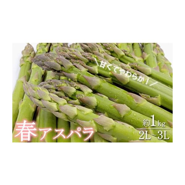 容量2L〜3Lサイズ・約1kg消費期限発送日から5日程度発送期日2026年04月下旬頃〜05月下旬頃にかけて、寄付受付順に発送配送冷蔵 時間指定 別送申込期日2026年05月20日頃事業者長井中央青果申込条件何度も申し込み可