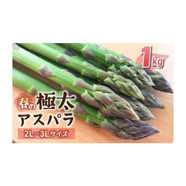 容量極太（2L〜3L） 約1kg (おおよそ20〜30本)消費期限発送から1週間程度（野菜ですのであくまでも目安となります。状態を確認のうえ、お早めにお召し上がりください）発送期日2026年4月上旬〜5月下旬の間に順次発送配送冷蔵 別送申込...