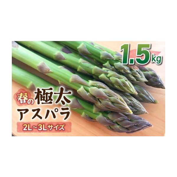 容量極太（2L〜3L）サイズ：約1.5kg (おおよそ30〜45本)消費期限発送から1週間程度（野菜ですのであくまでも目安となります。状態を確認のうえ、お早めにお召し上がりください）発送期日2026年4月上旬〜5月下旬の間に順次発送配送冷蔵...
