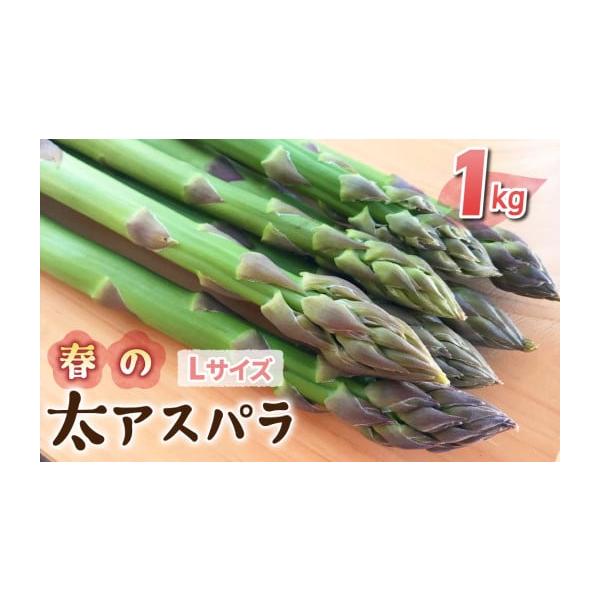 容量太（L）サイズ：約1kg (おおよそ30〜40本)消費期限発送から1週間程度（野菜ですのであくまでも目安となります。状態を確認のうえ、お早めにお召し上がりください）発送期日2026年4月上旬〜5月下旬の間に順次発送配送冷蔵 別送申込期日...