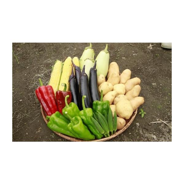 容量黒茄子5本、緑茄子3本、ピーマン4個、ジャガイモ約2kg、玉ねぎ約1kg消費期限賞味期限：発送日から冷蔵保存で7日(生鮮野菜なのでお早めにお召し上がり下さい。)発送期日8月から9月配送冷蔵 時間指定 別送申込期日8月9日事業者八頭船岡農...