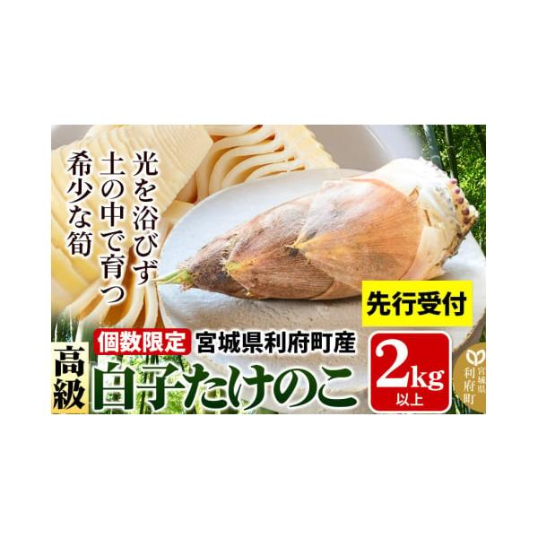 容量■名称：宮城県利府町産 白子たけのこ■内容量：2kg以上（2〜6本）■保存方法：冷蔵庫の野菜室での保存■注意事項：★配送される年、時期をよくご確認ください★・収穫したたけのこのサイズにより本数が異なります。・気温や天候や生育、収穫等の状...