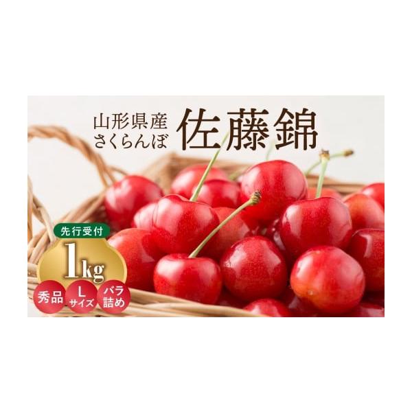 容量山形県産「佐藤錦」1kg 秀品 Lサイズ消費期限冷蔵4日到着後は冷蔵庫で保管してお早めにお召し上がりください。発送期日2026年6月中旬頃から順次発送※天候や収穫状況により変更になる場合があります。※発送開始・終了時期は例年の参考のため...