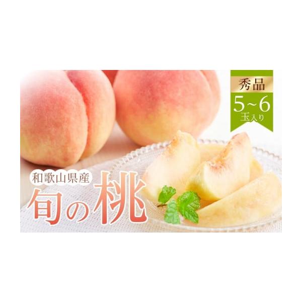 容量5〜6玉入り／秀品消費期限生鮮品の為、なるべくお早めにお召し上がりください。発送期日2026年6月下旬〜8月中旬頃、順次発送予定　※天候や生育状況により発送時期が予告なく変更になる場合がございます。配送冷蔵 時間指定 別送申込期日〜20...