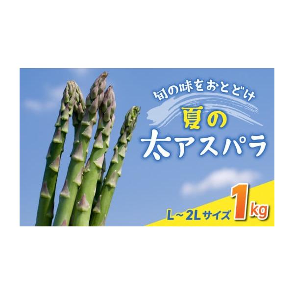 容量太（L〜２L）サイズ：約1kg (おおよそ25〜35本)消費期限発送から1週間程度（野菜ですのであくまでも目安となります。状態を確認のうえ、お早めにお召し上がりください）発送期日2026年7月上旬〜9月中旬の間に順次発送配送冷蔵 別送申...