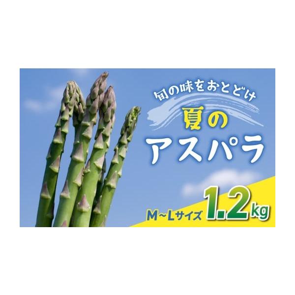 容量細（M〜L）サイズ：約1.2kg (おおよそ40〜60本)消費期限発送から1週間程度（野菜ですのであくまでも目安となります。状態を確認のうえ、お早めにお召し上がりください）発送期日2026年7月上旬〜9月中旬の間に順次発送配送冷蔵 時間...