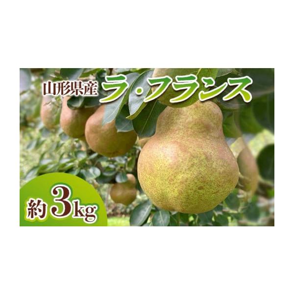 容量【令和8年産】山形県産 ラ・フランス 秀品 約3Kg(6〜12玉)発送期日2026年10月27日頃〜2026年11月27日頃※状況により配送時期が前後する場合がございます。(着日指定不可)配送常温 時間指定 別送申込期日2026年10月...